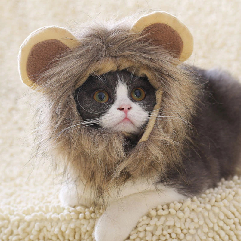 Cute Lion Mane Cat Wig Pet Small Dog Cats Costume Lion Mane Wig Cap Hat for Cat Dogs Fancy Costume Cosplay Toy Pet Supplies